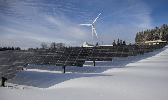 10 Esempi di Sostenibilità Ambientale da Seguire nel 2021